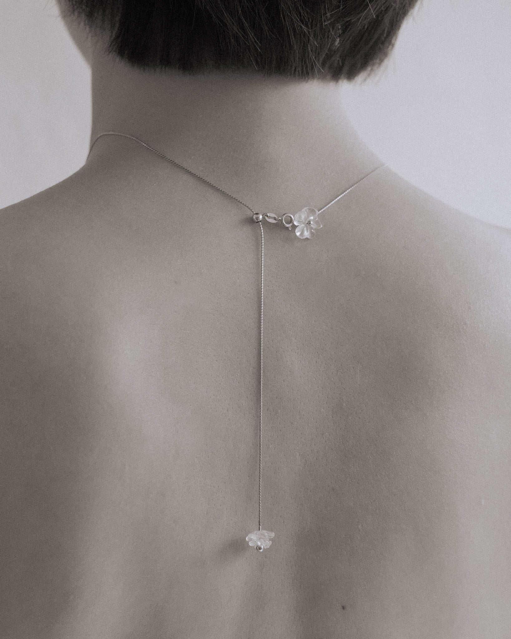 ______ 's Mneme Collection