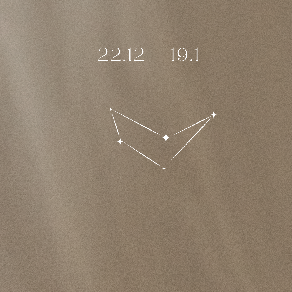Capricorn